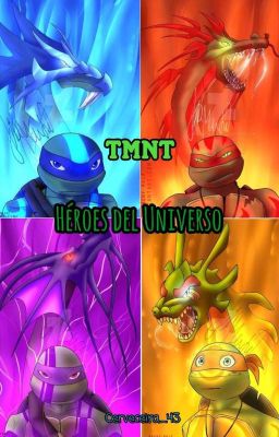 Tmnt Héroes Del Universo