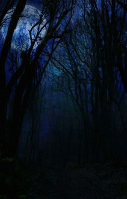 Los Dueños Del Bosque Oscuro