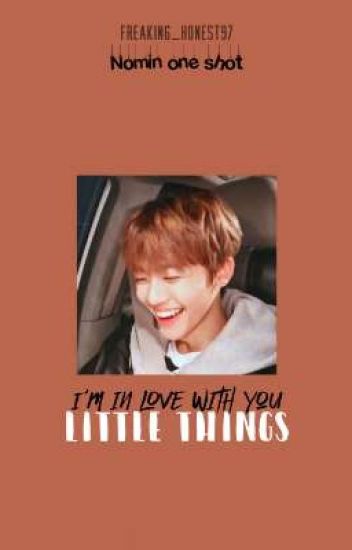 ❛little Things❜ | Nomin. One Shot