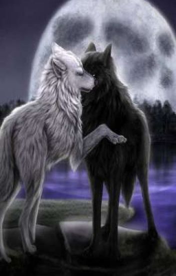 My Wolf [jikook Abo]