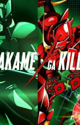 Akame Ga Kill Dxd