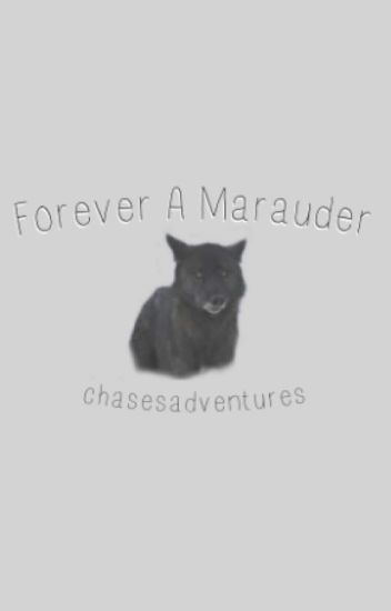 Forever A Marauder