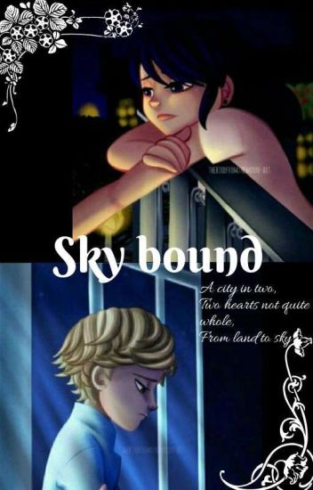 Skybound- Miraculous Au