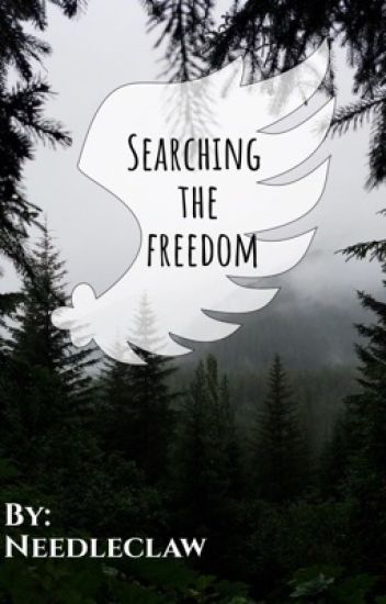 Searching The Freedom