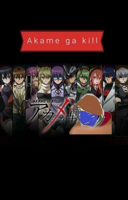 Akame Ga Kill La Continuación De La Serie