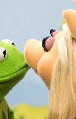 🎀muppets • Quotes