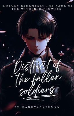 District Of The Fallen Soldiers - Levi Ackerman