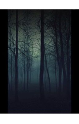 El Bosque De La Noche