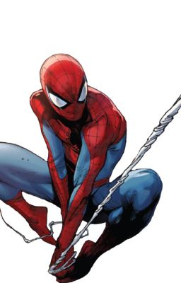 Spider-man: Lo Que Se Debe Hacer