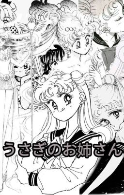 うさぎのお姉さん || Sailor Moon