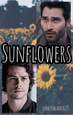 Sunflowers (sterek)