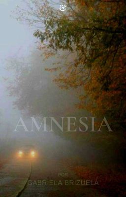 Amnesia #pgp2024