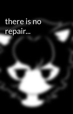 There is no Repair...