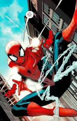 "araña Implacable" Spider-man x Bok...