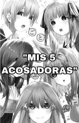 "mis 5 Acosadoras"
