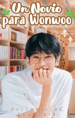 un Novio Para Wonwoo ♤ Meanie/minwon