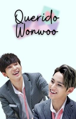 Querido Wonwoo [meanie-minwon]
