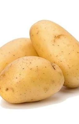 Potato y los 7 Universos