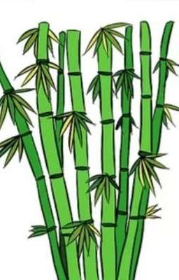 el tío que Come Brotes de Bambú
