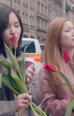 ៹ Pink Flowers, #mihyun. ♡