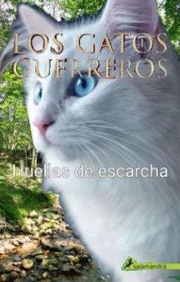 los Gatos Guerreros: Huellas de Esc...