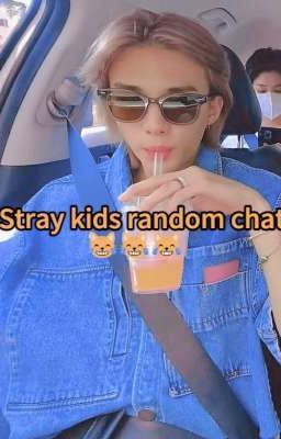 Stray Kids Random Chat 😹😹😹 (espa...