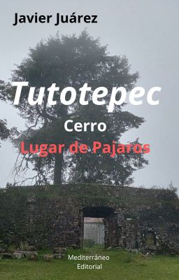 la Iglesia de Tutotepec / Cerro / L...