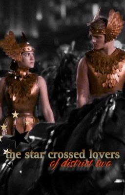 ★ the Star Crossed Lovers of Distri...