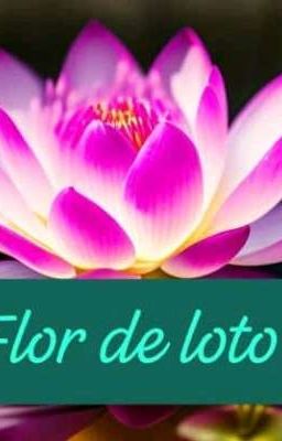 Flor De Loto