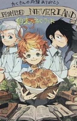 the Promised Neverland x Male Reader