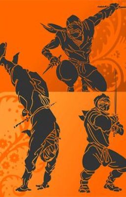 ¡los 4 Ninjas Elementales Al Rescate!