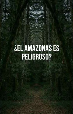 ¿el Amazonas es Peligroso?