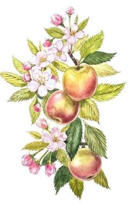 Apple Blossoms (charlie x Lectora)