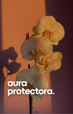 Aura Protectora ✦ Kookmin