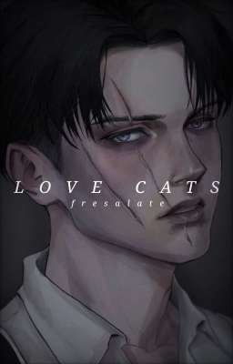 The Love Cats | Levi Ackerman