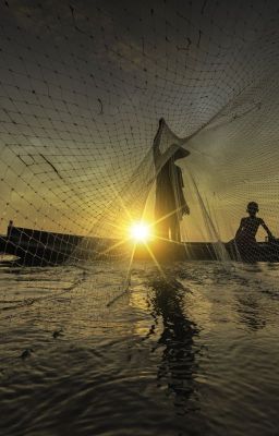 Mareas Del Cambio: Una Historia De Pesca Sostenible