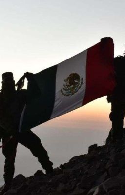 Fuerzas Especiales Mexicanas.