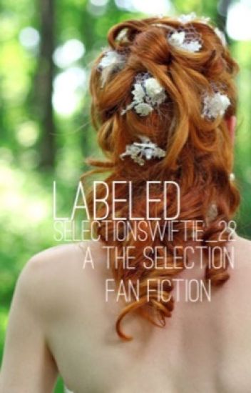 Labeled (a The Selection Fanfiction)