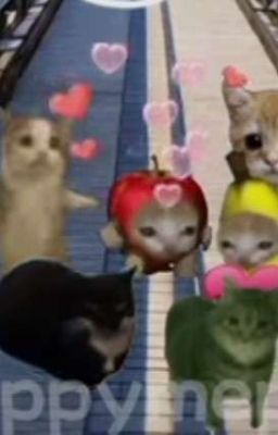 Banana cat and Friends
