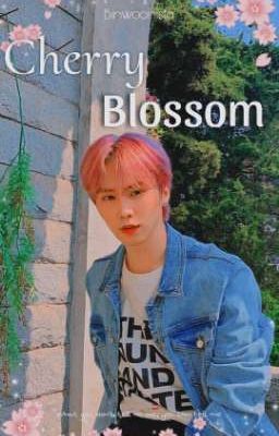 Cherry Blossom |🌸| Binhyuk
