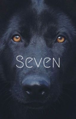 Seven ➳ El Perro De D.dixon