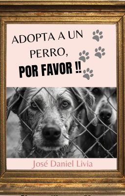 Adopta a un Perro, Porfavor!! 🐾