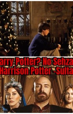 Harry Potter? no Sehzade Harrinson...
