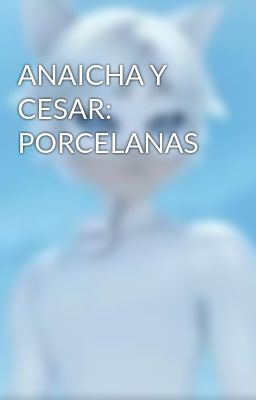 Anaicha y Cesar: Porcelanas