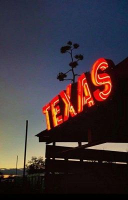Texas Show bar