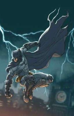 [infinite Stratos] Batman Dark Knig...