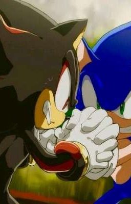 Sonic vs Shadow una Pelea con Conse...