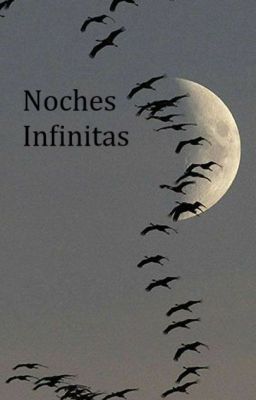 Noches Infinitas