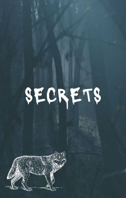 Secrets - Teen Wolf