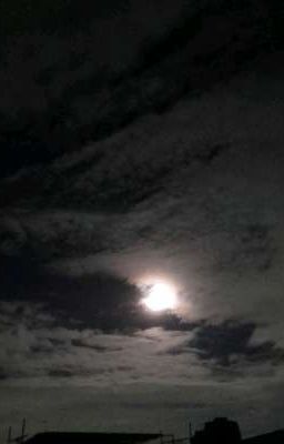Noche Y Luna
